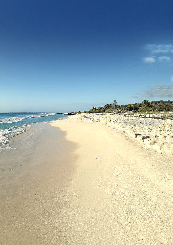 美丽的加勒比海海滩，美丽的卡门。Mayan Riviera, Quintana Roo，尤卡坦，墨西哥。